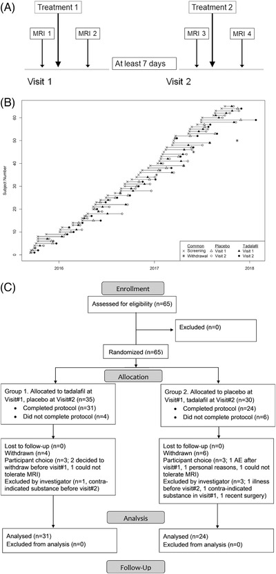 FIGURE 1