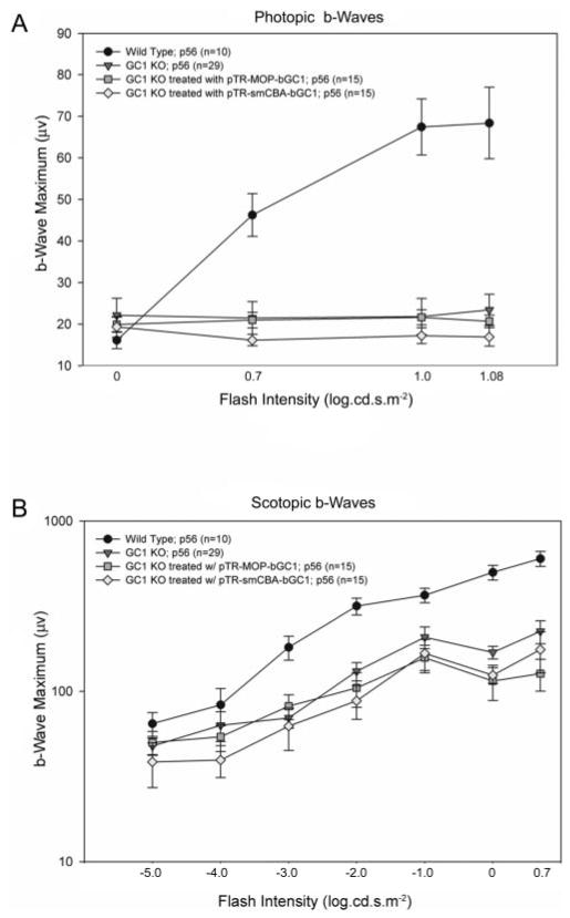 FIGURE 3