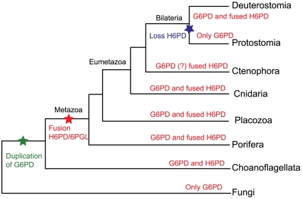 Figure 6