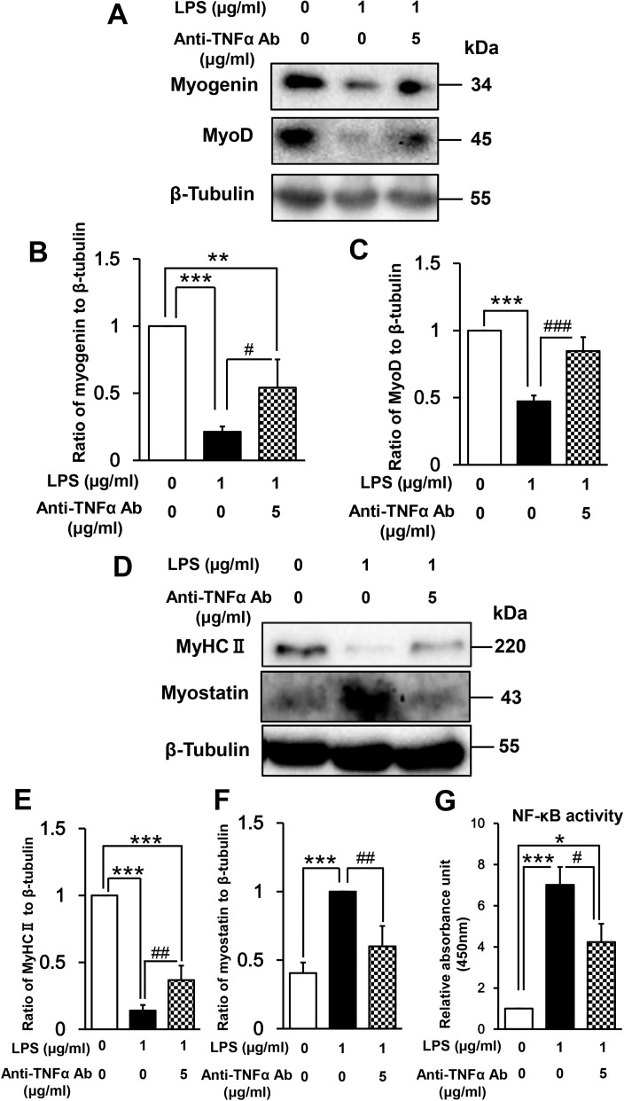 Fig 8