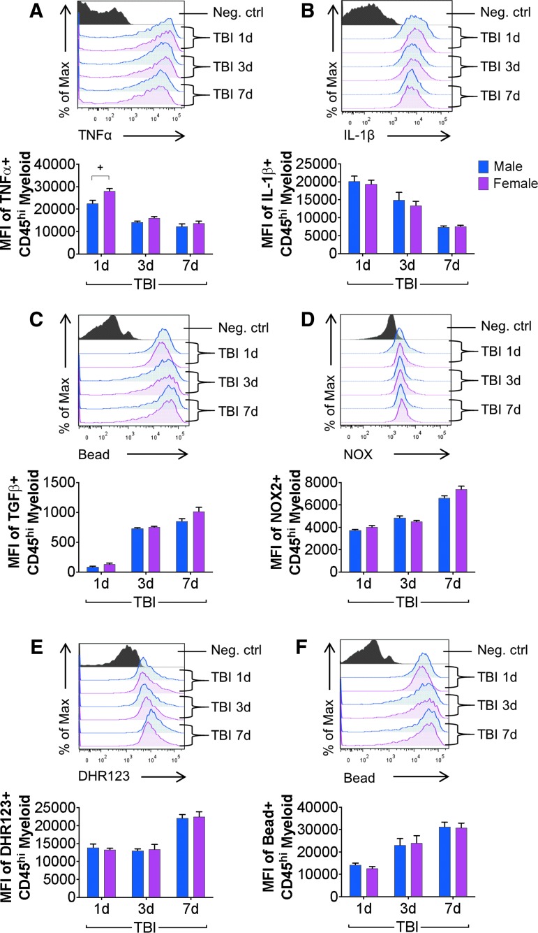 FIG. 4.