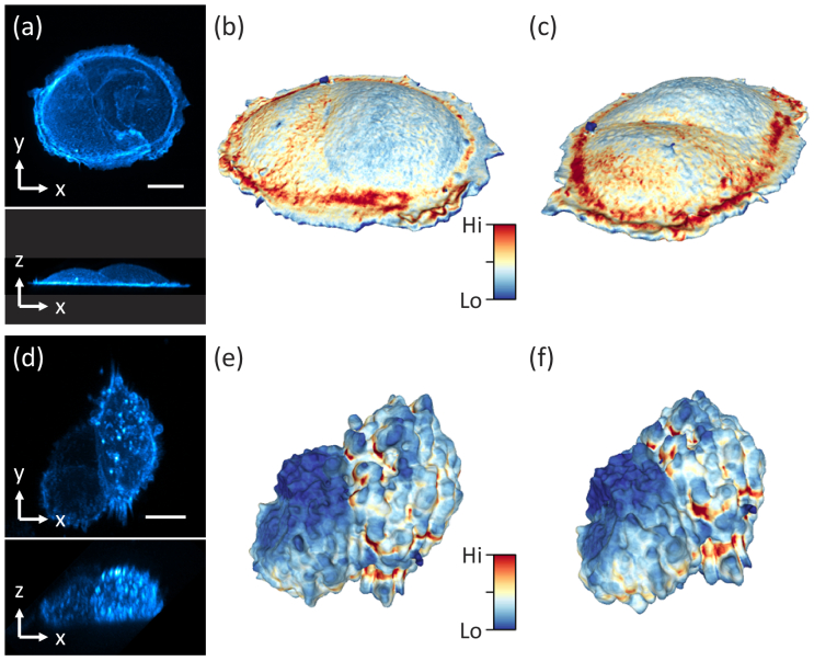 Fig. 4.