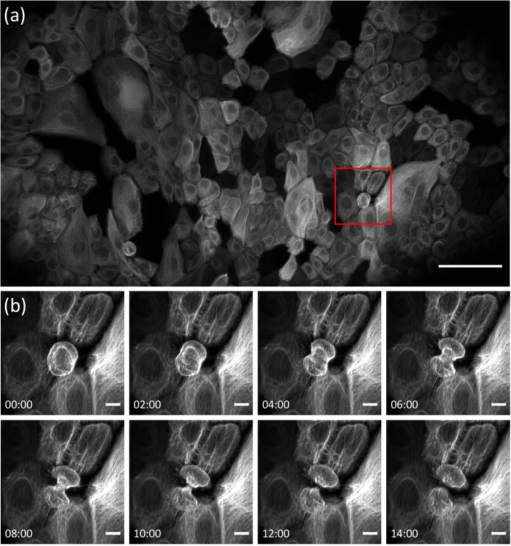 Fig. 3.