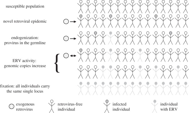 Figure 1.