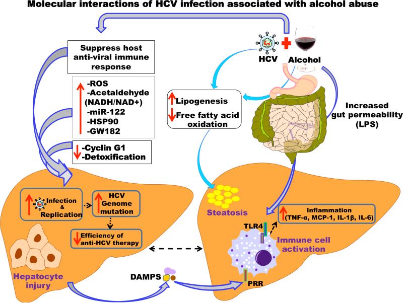 graphic file with name nihms-800776-f0001.jpg