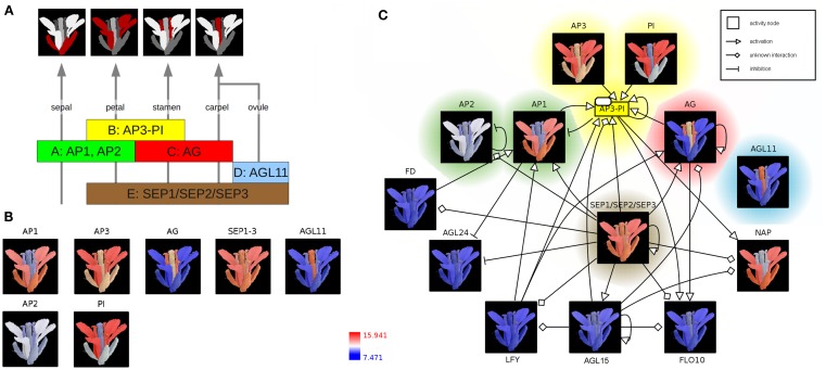 Figure 2