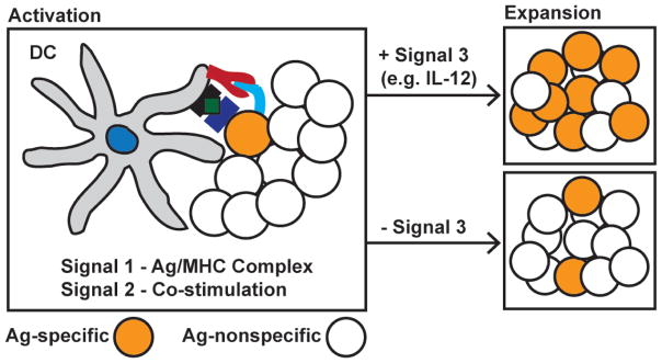 FIG. 4