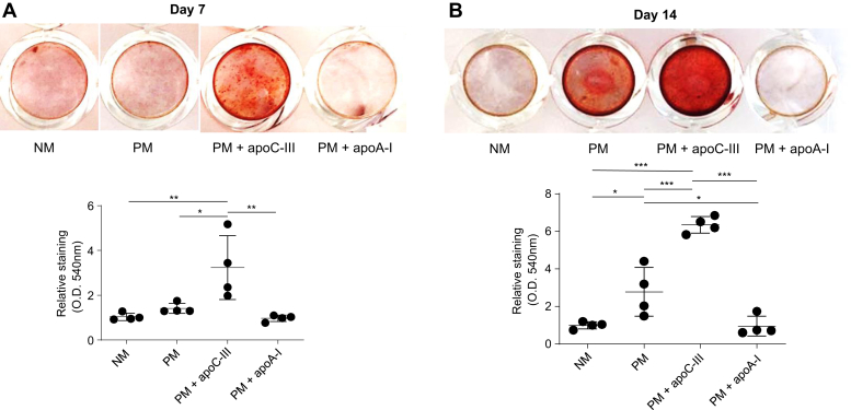 Figure 4