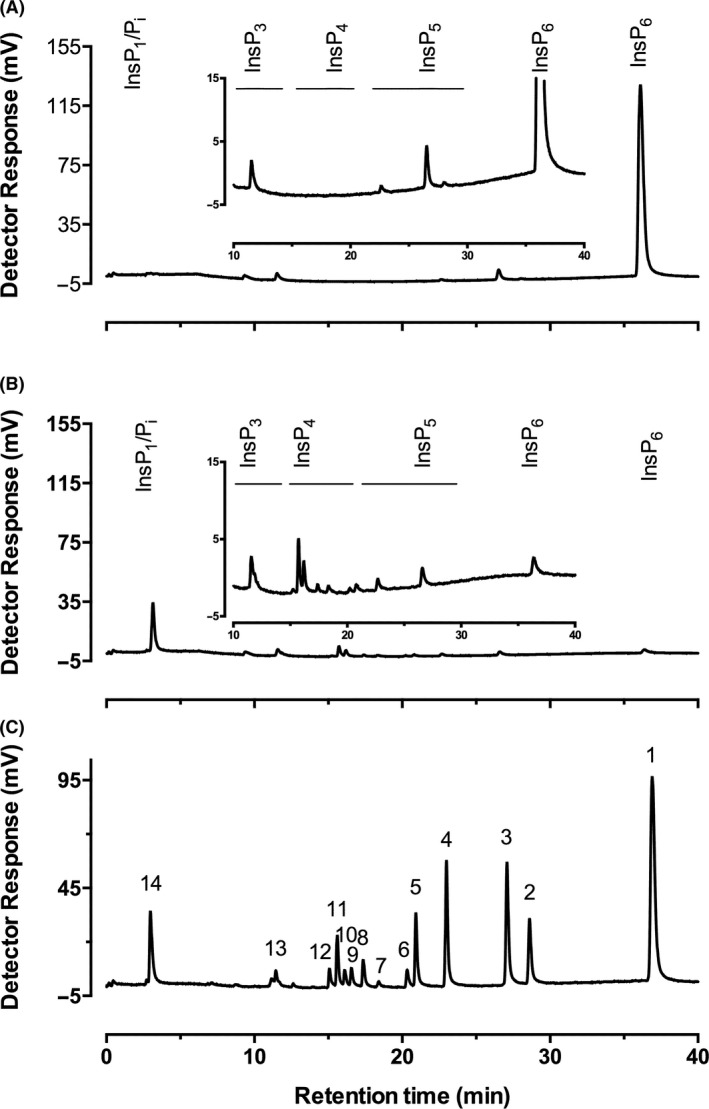 Fig. 2