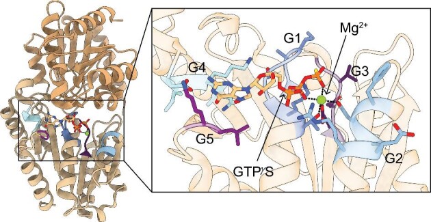 Fig. 2