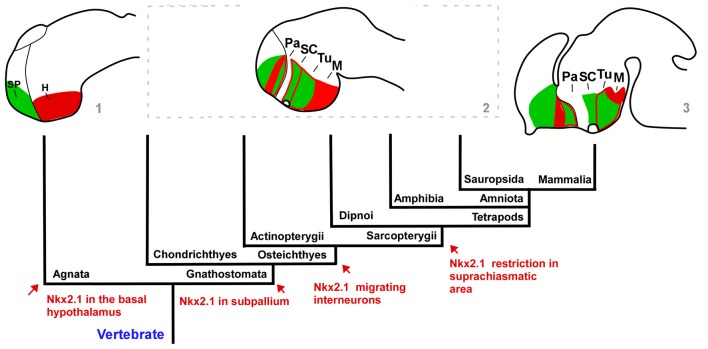 Figure 9