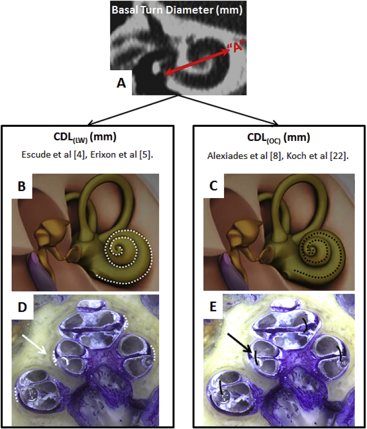 Fig. 1