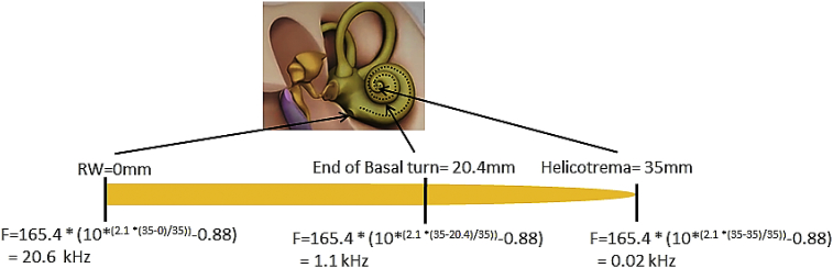 Fig. 3