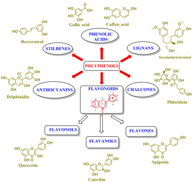 Scheme 3