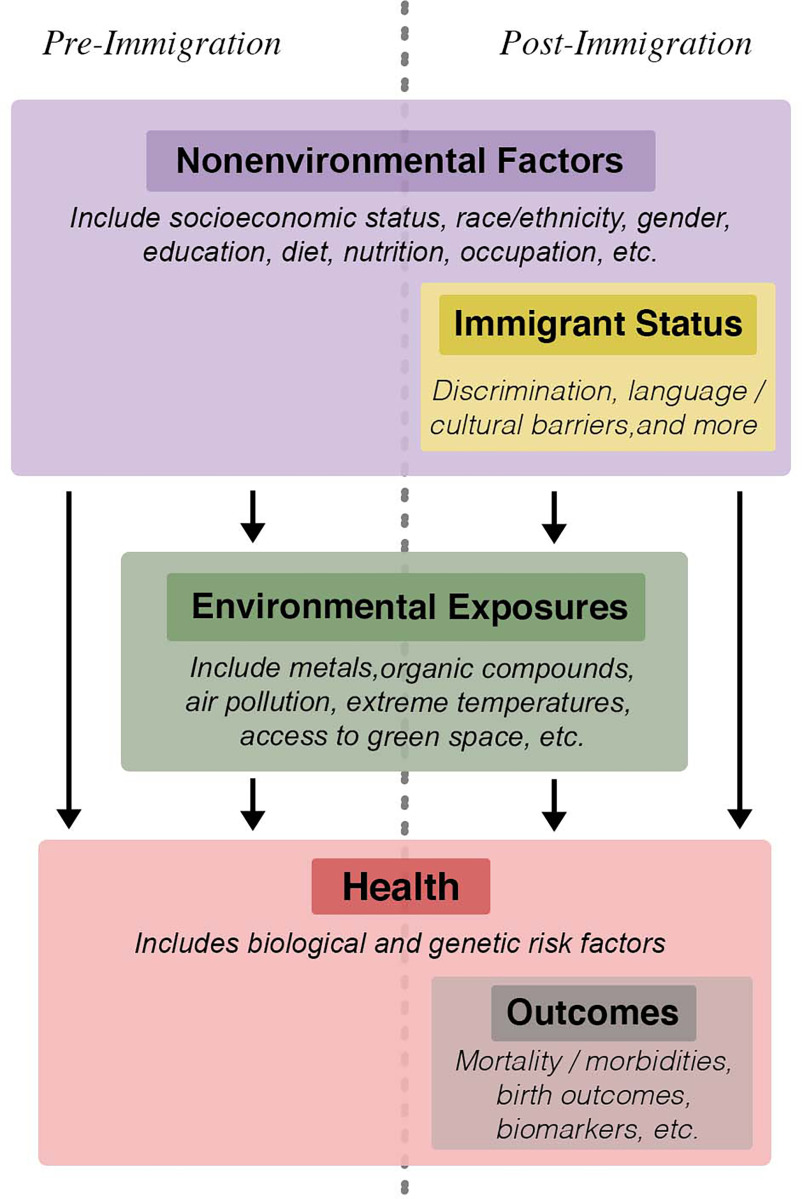 Figure 1 is a flowchart depicting pre- and post-immigration conditions with three steps. Step 1: Non-environmental factors include socioeconomic status, race or ethnicity, gender, education, diet, nutrition, occupation, etc. Under post-immigration conditions, immigrant status includes discrimination, language or cultural barriers, and more. Step 2: Environmental exposures include metals, organic compounds, air pollution, extreme temperatures, access to green space, etc. Step 3: Health includes biological and genetic risk factors. Under post-immigration conditions, the outcomes include mortality or morbidities, birth outcomes, biomarkers, etc.