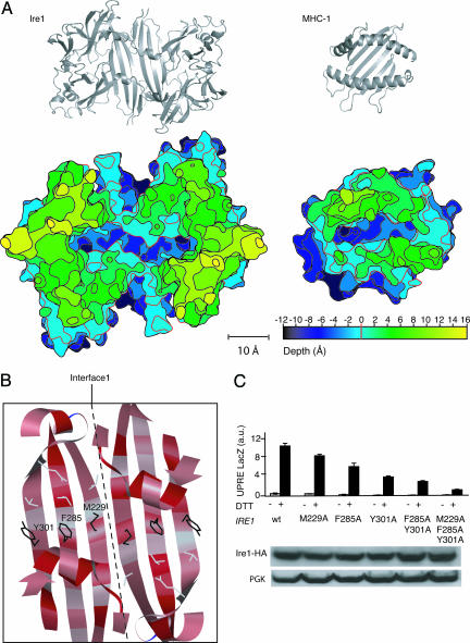 Fig. 4.