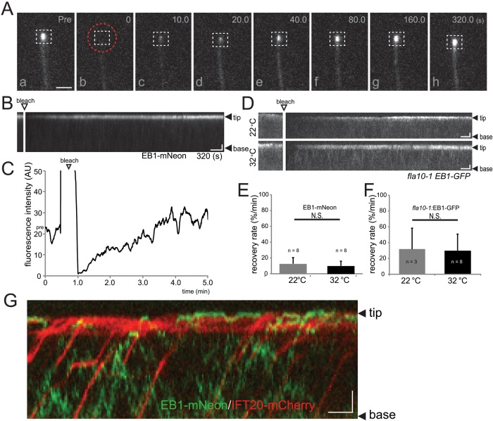 FIGURE 3: