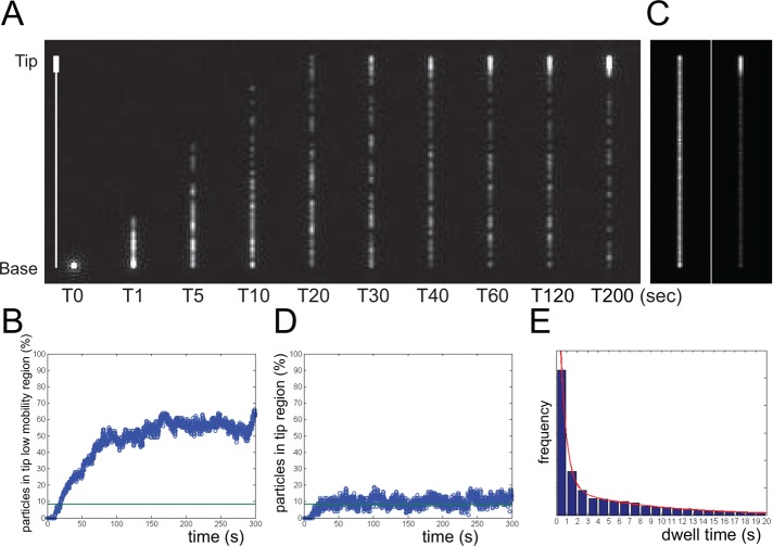 FIGURE 7: