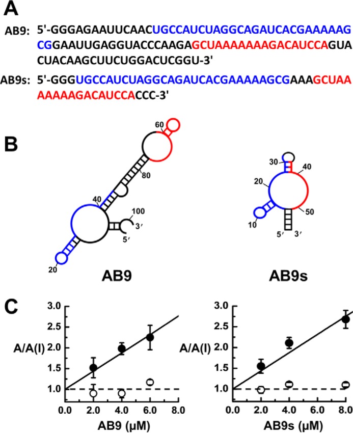 Figure 2.