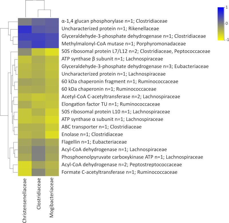 Fig 7