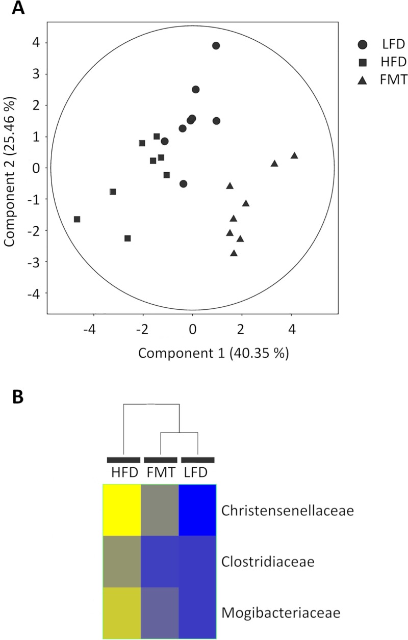 Fig 5