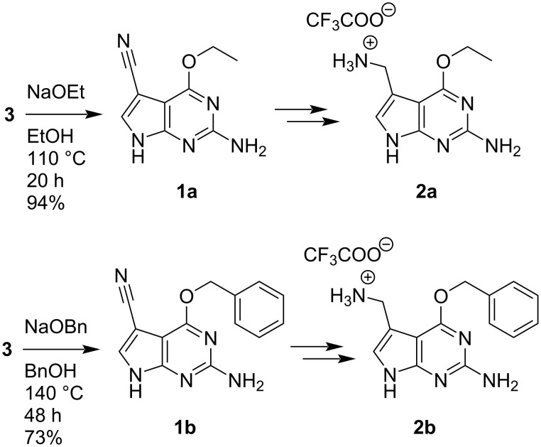 Scheme 5