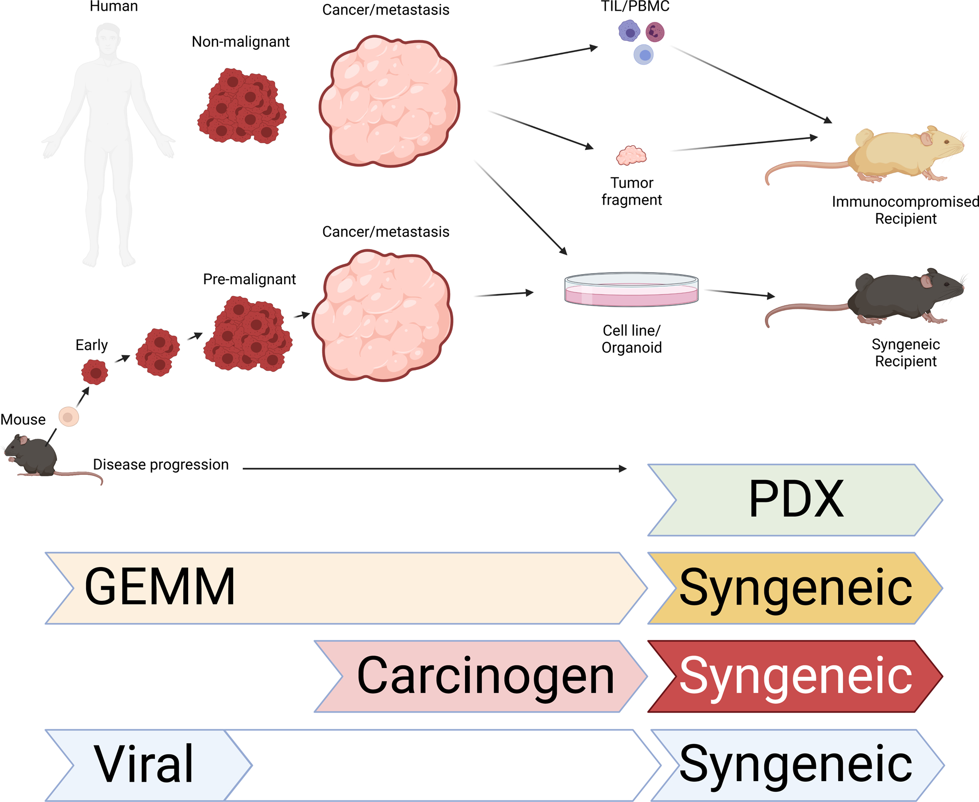 Figure 2: