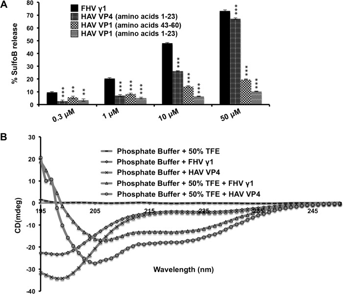 FIG 2