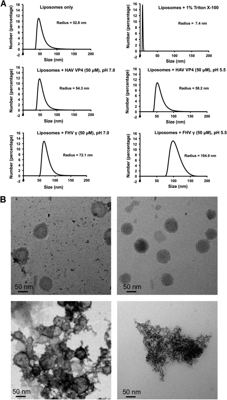 FIG 4