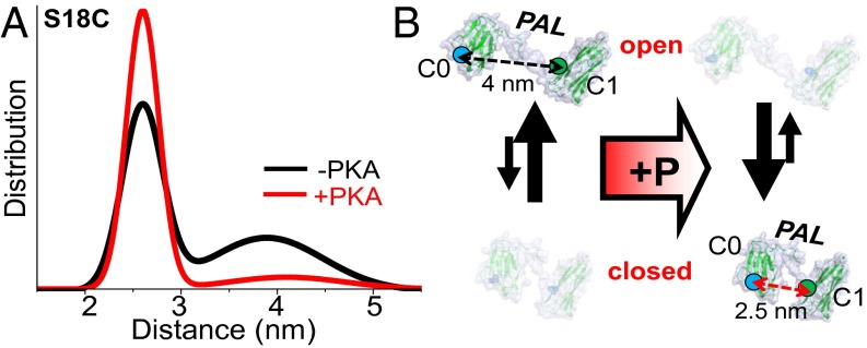 Fig. 3.