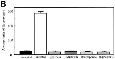 FIG. 8