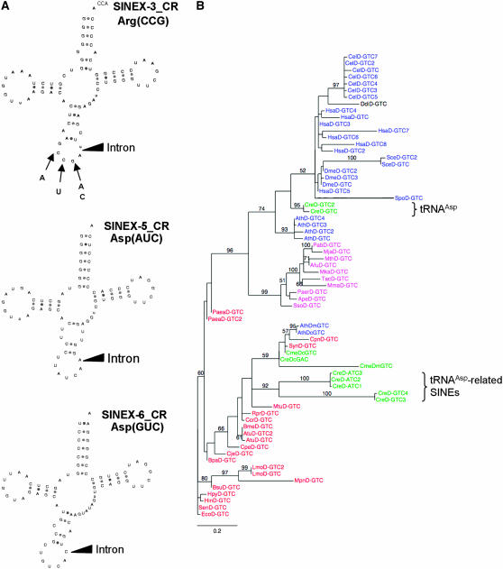 Figure 5.—