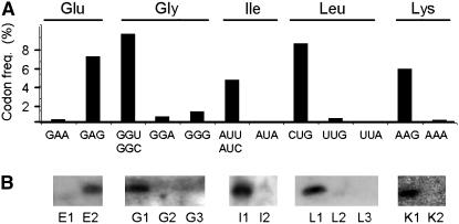 Figure 4.—