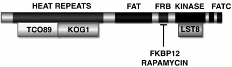 Fig. (1)