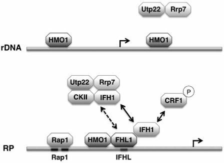 Fig. (2)