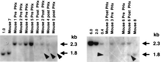 FIG. 6