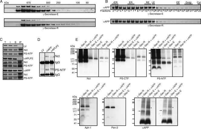 FIG. 6.