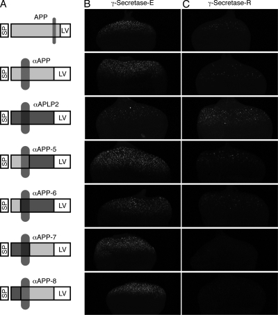 FIG. 5.