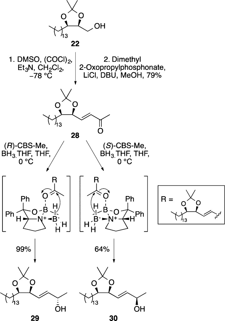 Scheme 7