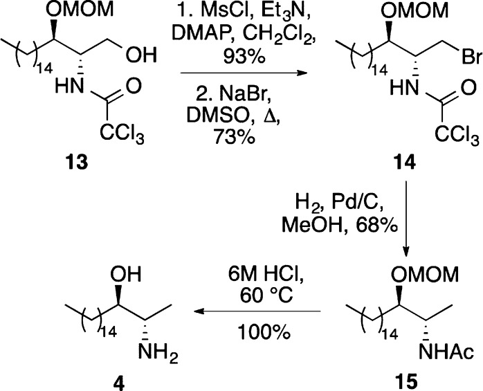 Scheme 4