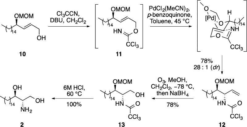 Scheme 3