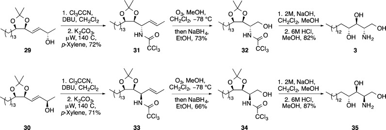 Scheme 8