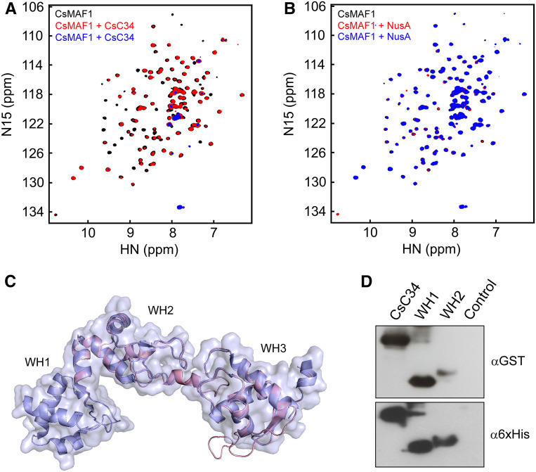 Figure 3.