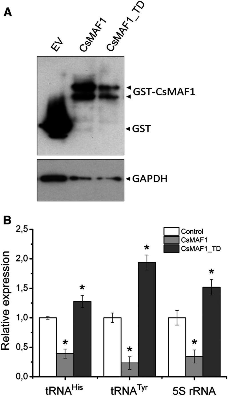 Figure 6.