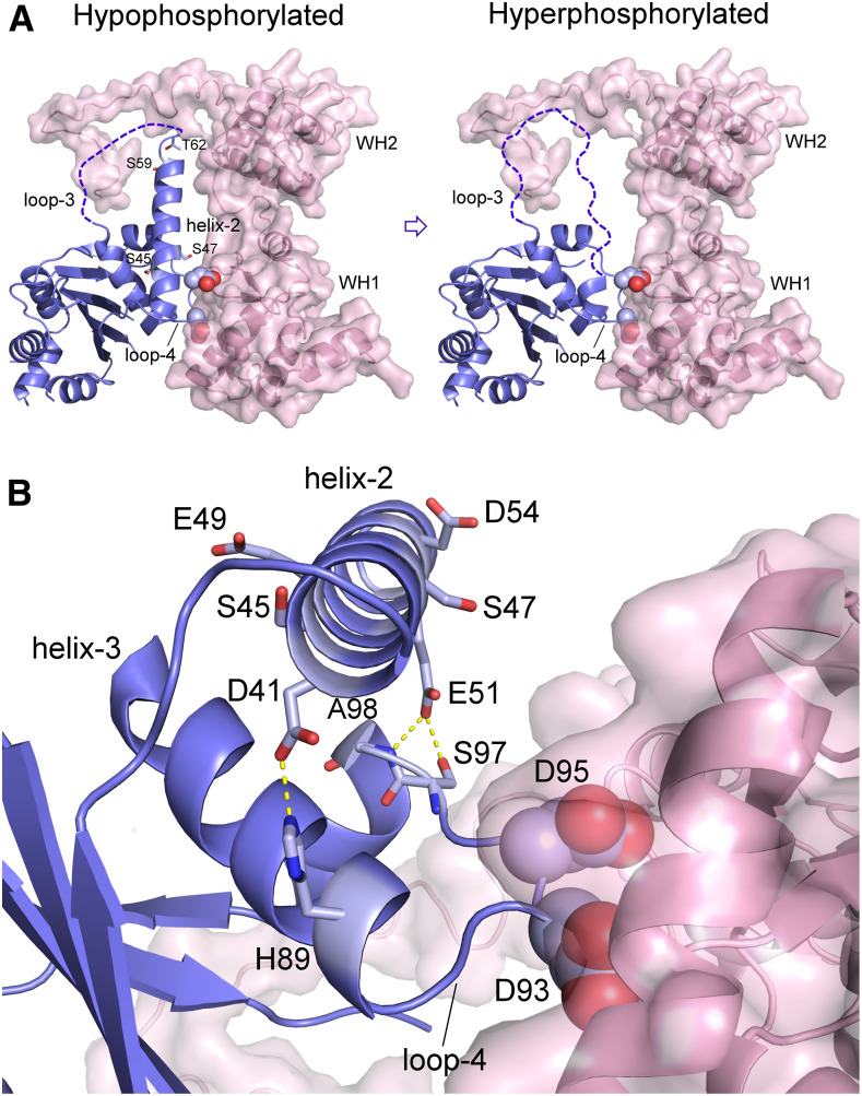 Figure 11.