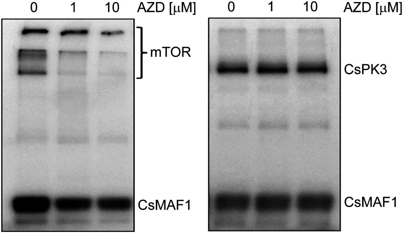 Figure 9.