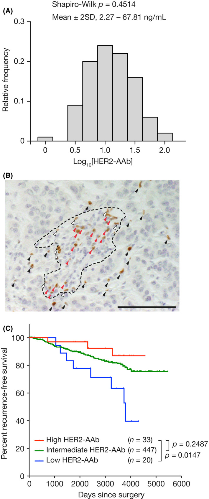 FIGURE 1