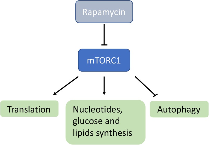 Figure 2.