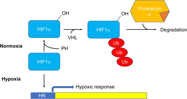 Figure 3.