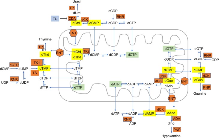 Figure 4.